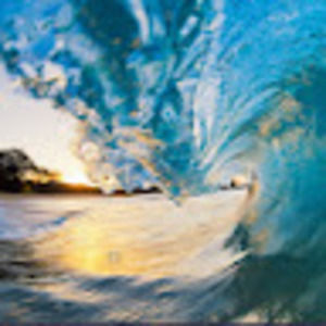 Meet your Posher, Owen